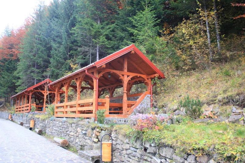 Hotel Paltinis Statjunea Borsa Bagian luar foto